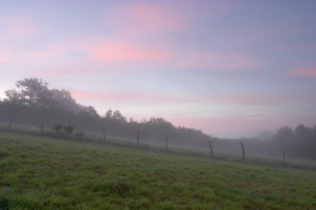 Pink mist in the morning