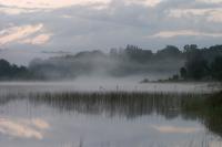 Pond mist