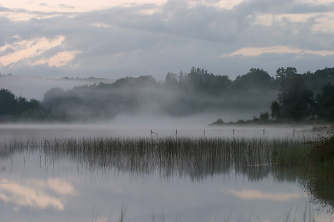 Pond mist