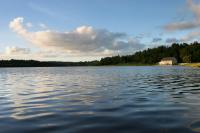 Quiet pond