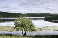 Oussines pond, the source of the VŽzre