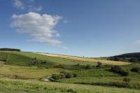 Peaceful hillside in the evening