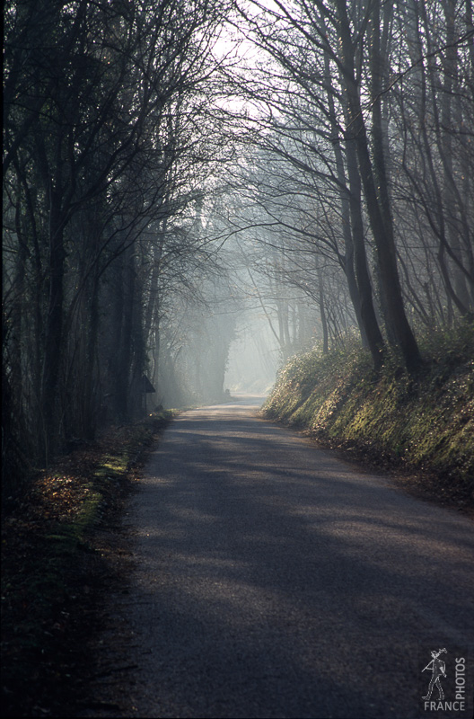 Misty road