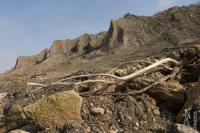 Eroded cliff