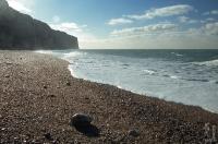 Plage d'Antifer