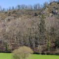 Suisse Normande