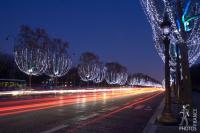 Champs Elysées Christmas decorations