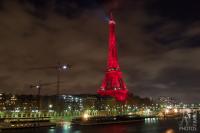 Tower and cranes