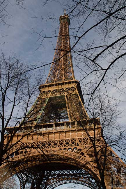 The Eiffel Tower in Winter