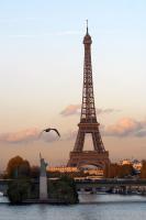 Tower and seagull