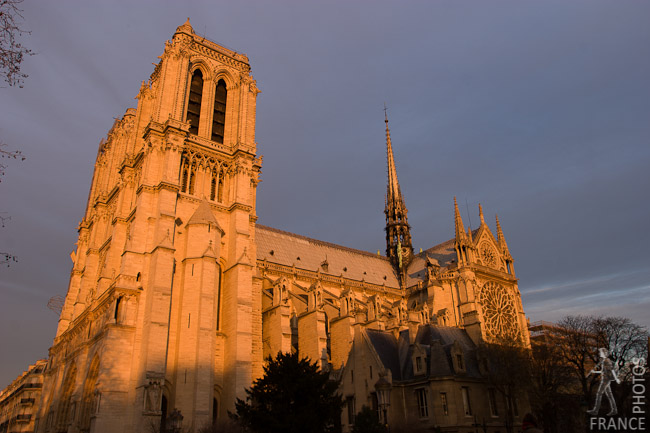 Notre Dame cathedral in the evening
