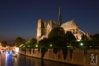 Notre Dame from the back