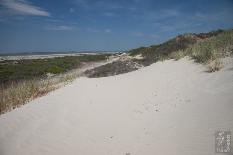 Pristine sand dune