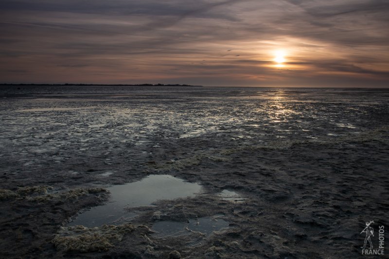 Mud and sunset