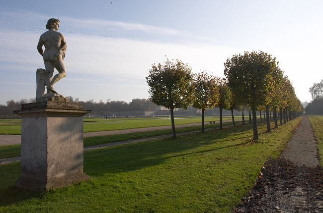 Statue and tree perspective